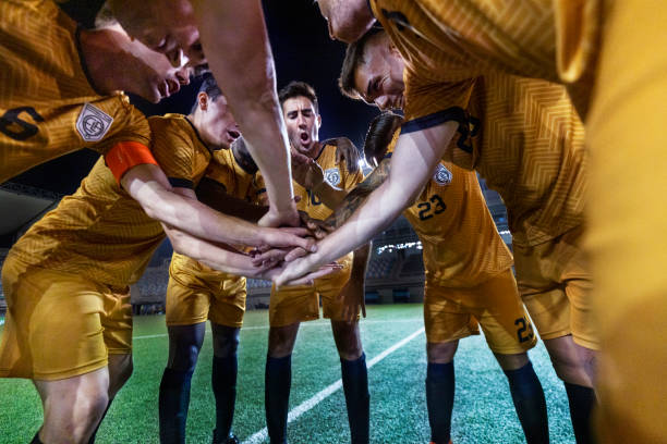 其研发团队 其研发团队