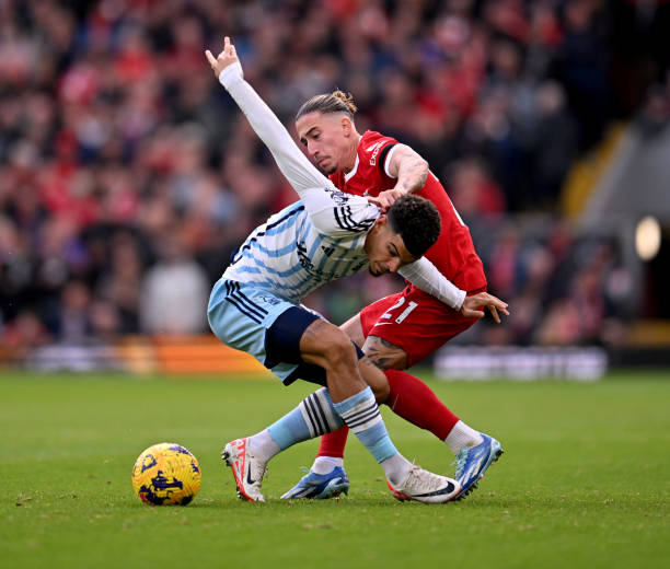 家属及时给 家属及时给